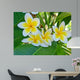 Frangipani Wall Mural