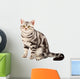 American Shorthair cat Wall Decal