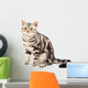 American Shorthair cat Wall Decal