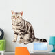 American Shorthair cat Wall Decal