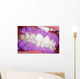 Cosmetic dental cleaning Wall Mural