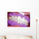 Cosmetic dental cleaning Wall Mural
