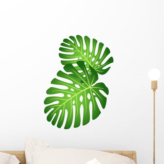 Leaves Tropical Plant Monstera