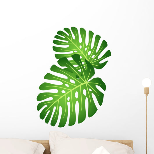 Leaves Tropical Plant Monstera