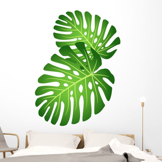 Leaves Tropical Plant Monstera