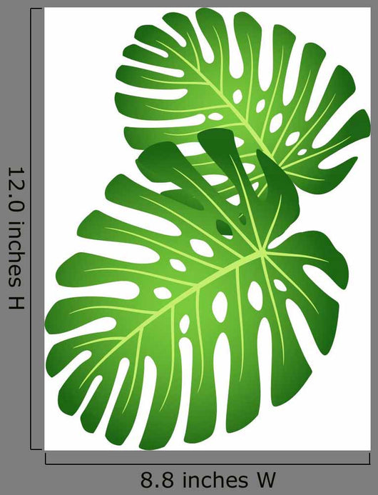 Leaves Tropical Plant Monstera