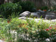 Garten Wall Decal