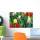 Tulip Period Istanbul Turkey Wall Mural