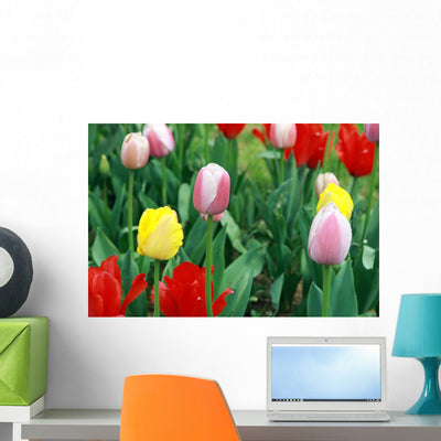 Tulip Period Istanbul Turkey Wall Mural shown on a wall