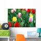 Tulip Period Istanbul Turkey Wall Mural