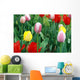Tulip Period in istanbul, Turkey. Wall Mural