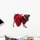 Mobs Red Gown
