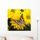 Papilio Antaeus Butterfly