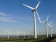 wind turbines Wall Mural