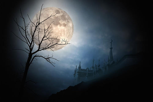 Halloween full moon Wall Mural