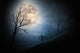 Halloween full moon Wall Mural