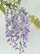 Wisteria Wall Mural