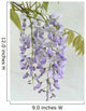 Wisteria Wall Mural