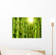 Bamboo Forest Wall Mural