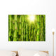 Bamboo Forest Wall Mural