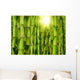 Bamboo Forest Wall Mural