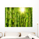 Bamboo Forest Wall Mural