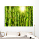 Bamboo Forest Wall Mural