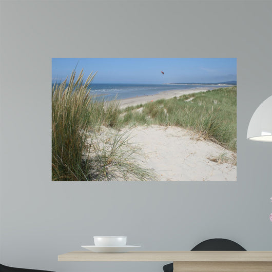 Beach Dune Wall Mural