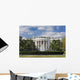 White House Wall Mural