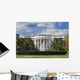White House Wall Mural