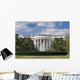 White House Wall Mural