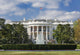 White House Wall Mural