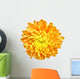 Chrysanthemum - 1 Wall Decal
