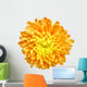 Chrysanthemum - 1 Wall Decal