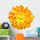 Chrysanthemum - 1 Wall Decal
