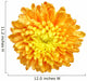 Chrysanthemum - 1 Wall Decal