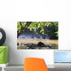Kapoh Waterfall Wall Mural