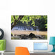 Kapoh Waterfall Wall Mural