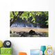 Kapoh Waterfall Wall Mural