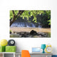 Kapoh Waterfall Wall Mural
