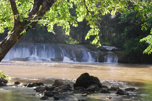 Kapoh Waterfall Wall Mural