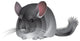 Chinchilla in Vector Wall Decal