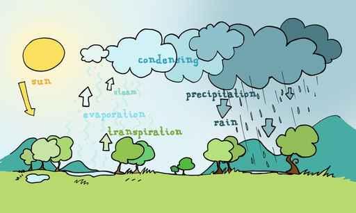 Explanatory Diagram Water Cycle Wall Decal