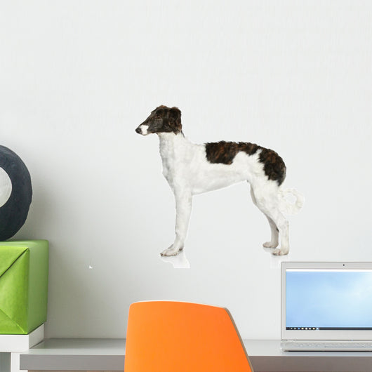 Russian Borzoi Puppy 5 Wall Decal