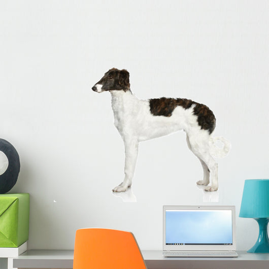 Russian Borzoi Puppy 5 Wall Decal