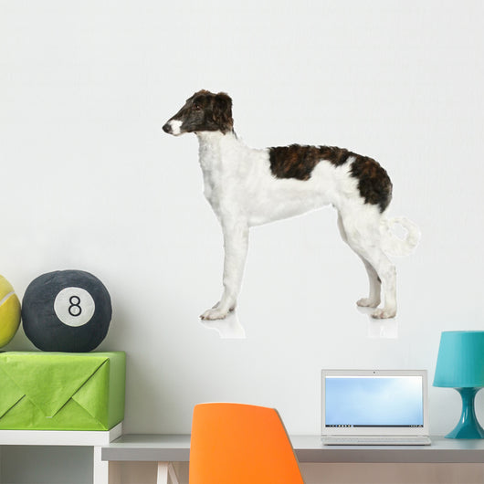 Russian Borzoi Puppy 5 Wall Decal