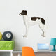 Russian Borzoi Puppy 5 Wall Decal