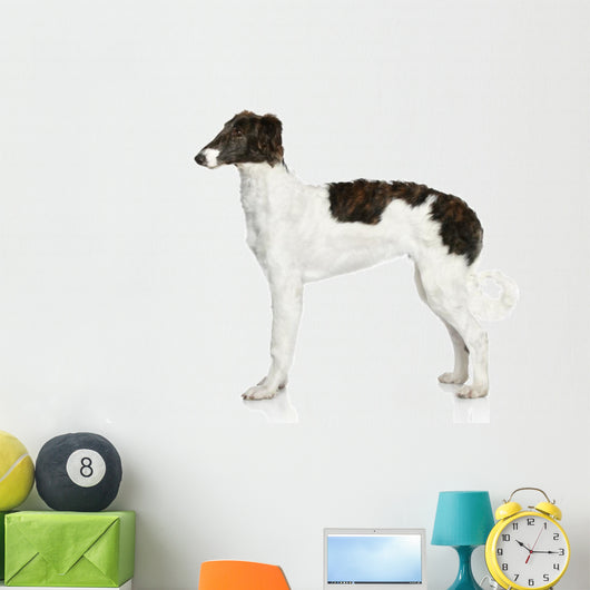 Russian Borzoi Puppy 5 Wall Decal