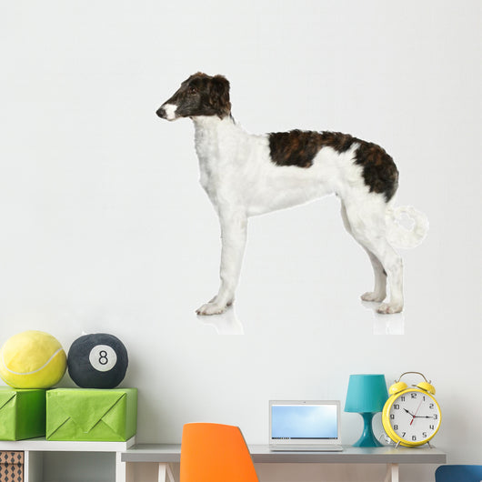 Russian Borzoi Puppy 5 Wall Decal