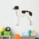Russian Borzoi Puppy 5 Wall Decal